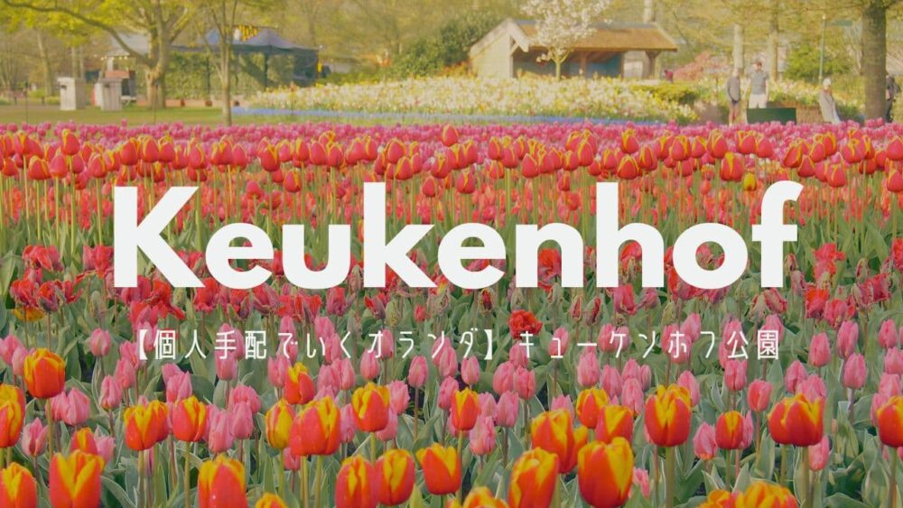 2024年版:春のオランダ旅行必見スポット】キューケンホフ公園を満喫 